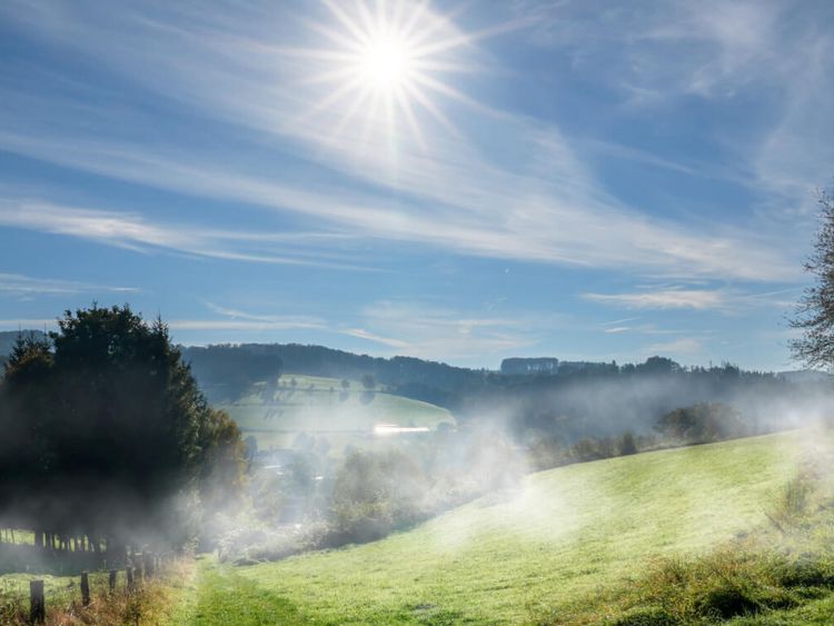 Nebel rollt am Morgen über Wiesen und Auen
