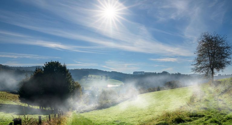 Nebel rollt am Morgen über Wiesen und Auen