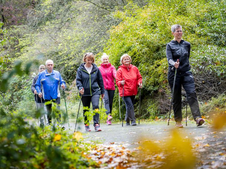 Patientengruppe wandert mit Nordic Walking Stöcken durch den Wald
