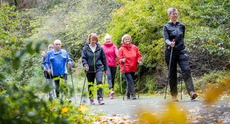 Patientengruppe wandert mit Nordic Walking Stöcken durch den Wald