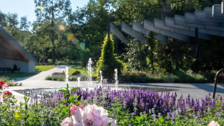 Blumen blühen im Kurpark Reichshof