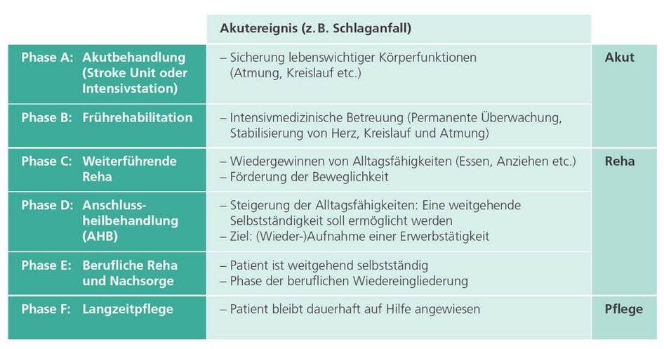 Abbildung Neurologisches Phasenmodell
