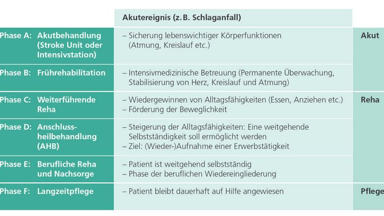 Abbildung Neurologisches Phasenmodell