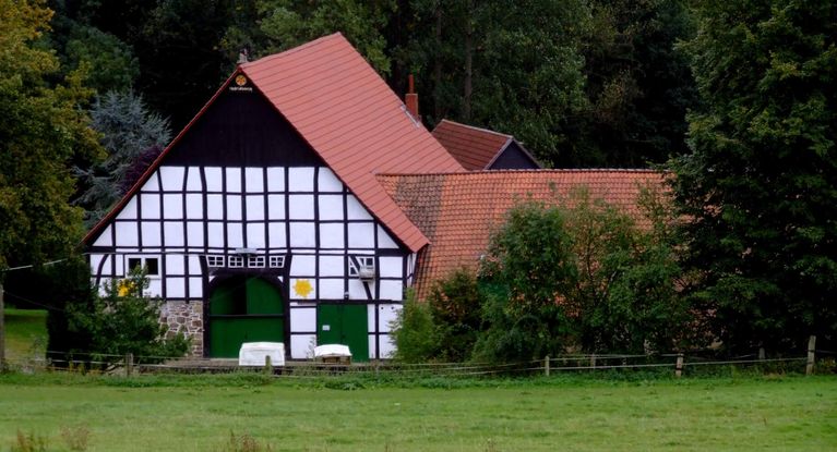 Fachwerkhaus mit rotem Dach in grünen Feldern
